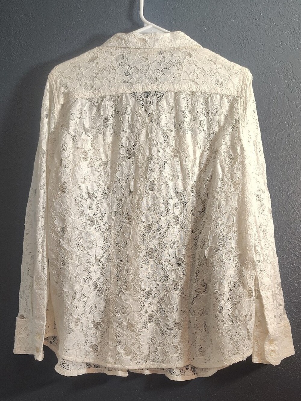 Cato Lace Floral Western Feminine Sheer Rodeo Button-Up Blouse - Cream - Picture 10 of 11